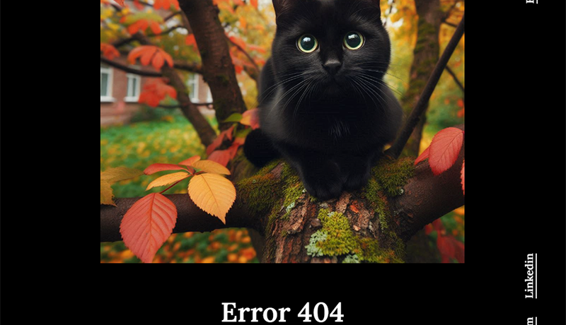 Imagen de error 404